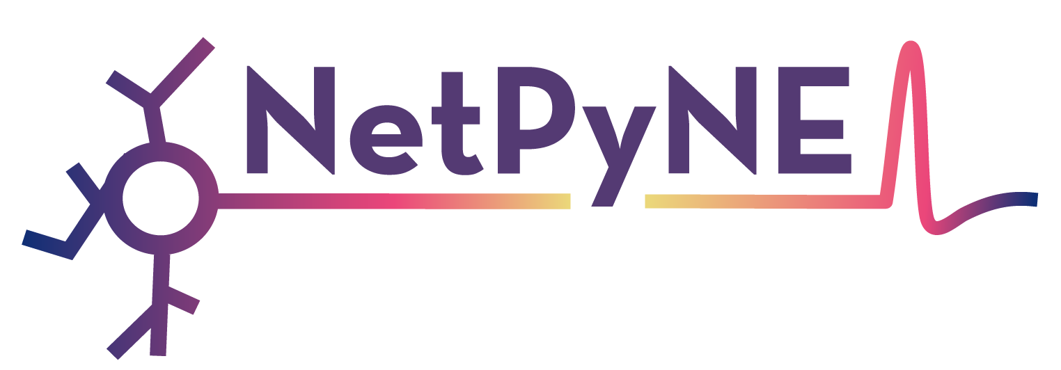 NetPyNE